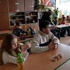 zdjęcie nr 11