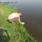 zdjęcie nr 8