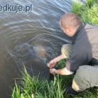 zdjęcie nr 12