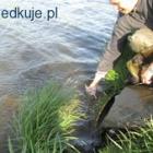 zdjęcie nr 11