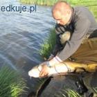 zdjęcie nr 10