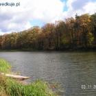 Fotka nr 4 z 13