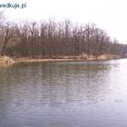 zdjęcie nr 12