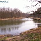 Fotka nr 3 z 13
