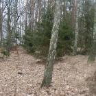 zdjęcie nr 32