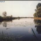Fotka nr 2 z 4