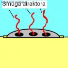 Fotka nr 1 z 2
