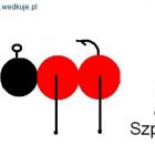 Twister ze szpilkami