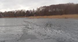 Tak wprawną ręke w rzeżbie posiada tylko natura