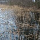Podtopiona strefa przybrzeżna