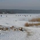 zdjęcie nr 11