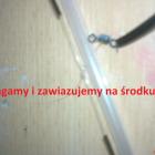 zdjęcie nr 17