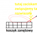 zdjęcie nr 16