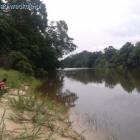 Widoczne drzewa, przeszkody