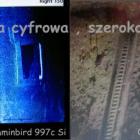 Fotka nr 2 z 18