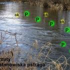 zdjęcie nr 11