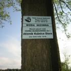 zdjęcie nr 10