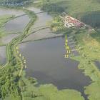 zdjęcie nr 10