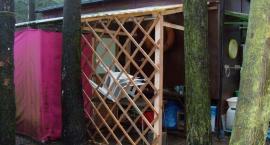 Pergola przy rybaczówce pod zimnoluby bluszcz