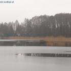 Fotka nr 1 z 7