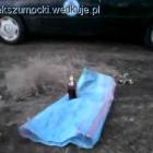 Fotka nr 2 z 5