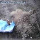 Fotka nr 3 z 5