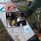 zdjęcie nr 4