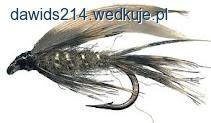 Fotka nr 0 z 1