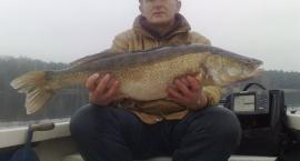 Sandacz 5.60 kg i 83 cm