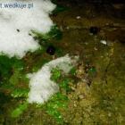zimowy wieczór  w zacisznym podwórzu