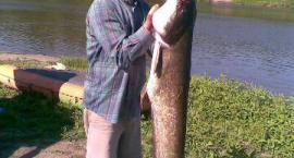 Sum na Ślęzoujściu 160 cm.