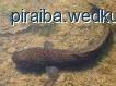 Fotka nr 1 z 3