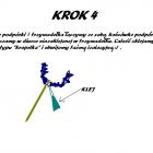 Fotka nr 3 z 5