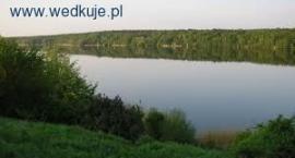 zdjęcie nr 1