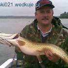 zdjęcie nr 9