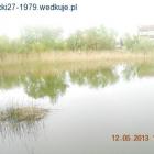 zdjęcie nr 8