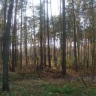 Niedziela piękna i słoneczna
