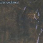 zdjęcie nr 48