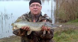 Po ciekwawym holu szczupak 73cm i 2,60kg miękko ląduje na brzegu