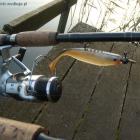 Fotka nr 5 z 17