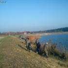 zdjęcie nr 5