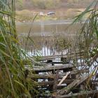 Fotka nr 2 z 7
