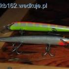 Fotka nr 1 z 4