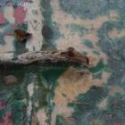 Właśnie te zaniedbania spowodowały gnicie elementów drewnianych