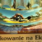 zdjęcie nr 31