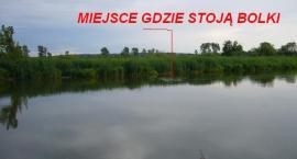 Łowimy rzucając z brzegu z którego było robione zdjęcie. 