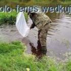 Fotka nr 1 z 3