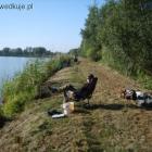 V miejsce GP 2011