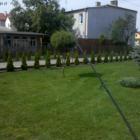 zdjęcie nr 8