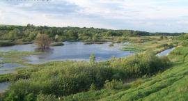 Perspektywa na łowisko od strony Gortatowa (południe)